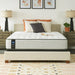 Summer Rose Innerspring Mattress - Atchison Furniture Company (Atchison, KS)