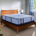 Indianapolis Spring Mattress - Atchison Furniture Company (Atchison, KS)