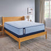 Maida Spring Mattress - Atchison Furniture Company (Atchison, KS)
