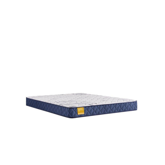 Glacier Park Foam Mattress - Atchison Furniture Company (Atchison, KS)