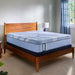 Isley Hybrid Mattress - Atchison Furniture Company (Atchison, KS)