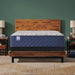 Midnight Bliss Spring Mattress - Atchison Furniture Company (Atchison, KS)
