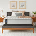 Garner II Innerspring Mattress - Atchison Furniture Company (Atchison, KS)