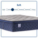 Moreland Ave Spring Mattress - Atchison Furniture Company (Atchison, KS)