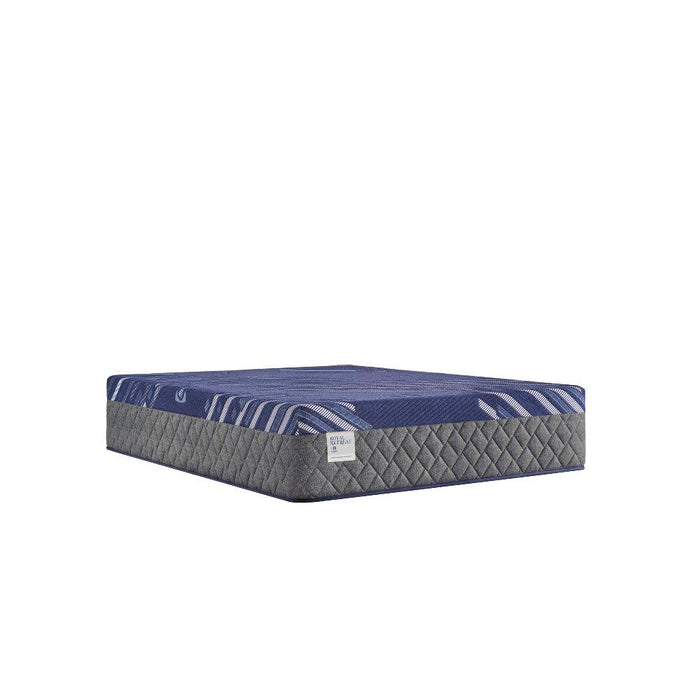 Westerfield Hybrid Mattress - Atchison Furniture Company (Atchison, KS)