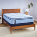 Goddard Spring Mattress - Atchison Furniture Company (Atchison, KS)