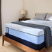 Lovato Hybrid Mattress - Atchison Furniture Company (Atchison, KS)