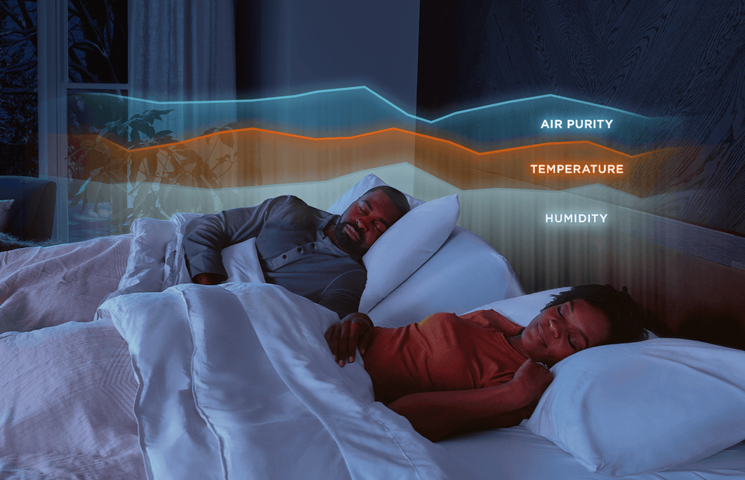 Tempur-Ergo Smart Base - Atchison Furniture Company (Atchison, KS)