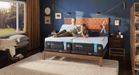 Tempur-Ergo Smart Base - Atchison Furniture Company (Atchison, KS)