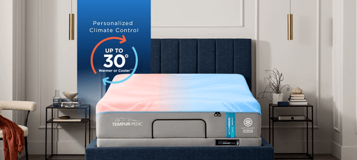 Tempur-Ergo ProSmart Air - Atchison Furniture Company (Atchison, KS)
