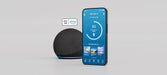 Tempur-Ergo Smart Base - Atchison Furniture Company (Atchison, KS)