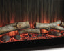 Entertainment Accessories Fireplace Insert - Atchison Furniture Company (Atchison, KS)